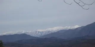 村上歴史ダブル“ジョウ”プラン