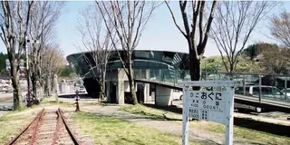 阿蘇小国でデトックス！