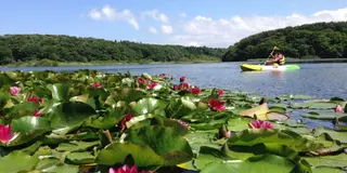 【青森県】湖と自然を全力で楽しむためのプラン🪿🌿