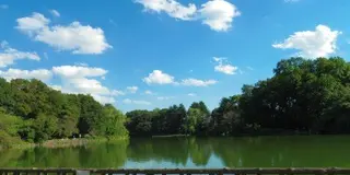 吉祥寺・荻窪周辺でぶらぶら