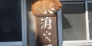 川戸周辺の知られざるスポット巡り～癒しもあるよ♪～