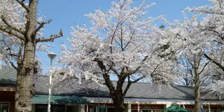 【花巻温泉】温泉漬けのラブラブコース