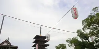 太子七大寺を建立した聖徳太子。今も謎多き厩戸皇子と聖徳太子の素顔に迫る