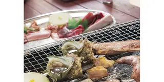 🐟みさきまぐろきっぷで楽しむ休日サイクリング