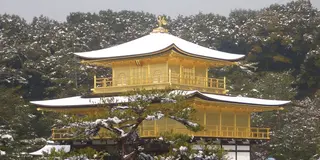 グルメバイキングがめちゃ安い！？金閣寺と上賀茂神社だけやない京都のホンマ