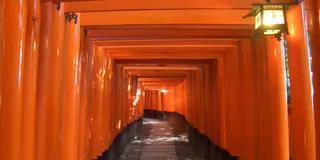 千本鳥居の伏見稲荷と鳥羽伏見