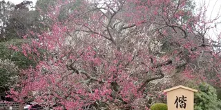 水戸