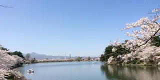盛岡の国道4号線沿いにある高松の池で散策