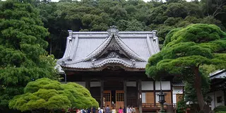富士山を観覧と修善寺に初詣