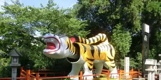 信貴生駒スカイラインをドライブでいい気分