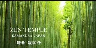 明日どこか行かない？そんな急でも大丈夫。大人の鎌倉、湘南デートプラン！【平日推奨】