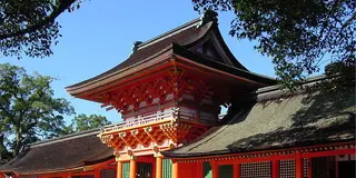 大分の自然を体感して癒される旅！