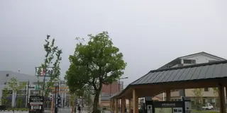 伊勢神宮と赤福。そばとうどんで楽しむ伊勢な一日