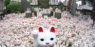 ［豪徳寺～松陰神社］世田谷線初心者が行く！  Holidayを参考に世田谷散歩ｗ