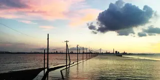 日帰り:木更津ゆったり(木更津WildBeach~江川海岸)バスと散歩