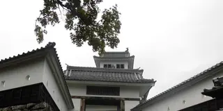 食品サンプル発祥の郡上八幡。郡上八幡城から眺める城下町