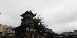 ★日本一大きい石の大碁盤！？恐竜と出会えるまち兵庫県丹波市で楽しむドライブ