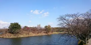 那須りんどう湖レイクビュー紅葉