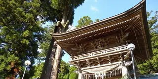 つれづれを楽しめば