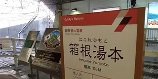 温泉から紅葉が見たい！箱根弾丸日帰りツアー