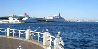 冬の休日に！❄️横浜周辺の大人なお散歩デート👫❤️
