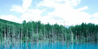 冬の道北～