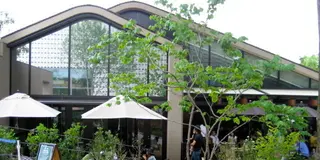 【早起きは三文の徳】渋谷代官山エリア朝活スポット~友人編~