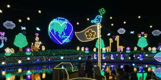 【栃木】あしかがフラワーパーク1日満喫コース◎