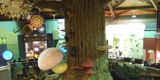 知らなかった県央の魅力旅