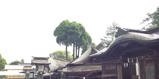 復旧から復興へ！「がんばる熊本！」の力強さを感じる応援旅