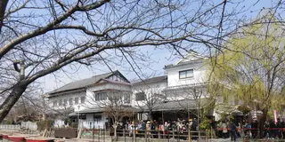 柳川で藩政時代のまちなみを船旅で楽しむ