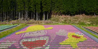 100万本のチューリップ畑とお菓子の神社・菓子祭りを巡る旅