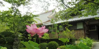 浜松市で歴史ウォーク、井伊直虎ゆかりの地へGO！