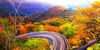 紅葉ドライブ