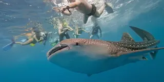 フィリピンで行きたい絶景の島たち🇵🇭