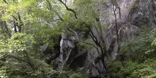 え？ワニって美味しいの？自然美しい帝釈峡に遊びに行こう！
