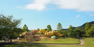 和歌山のんびりローカル線の旅