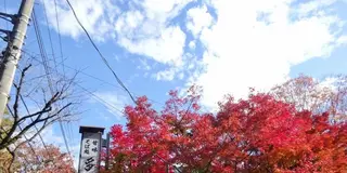 【深大寺】ちょっぴり観光