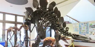 天草・御所浦トレジヤーハンティング      