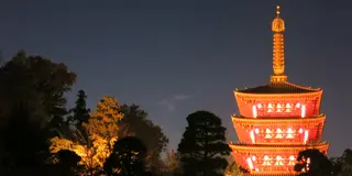 これが東京？！関東三大不動尊・高幡周辺を巡る！