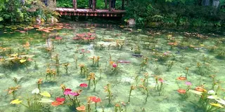 よみがえりの旅