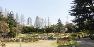 自然とふれあい、科学を学び、歴史と出会う、素敵な一日を。