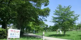 城北公園の花菖蒲を見に行こう