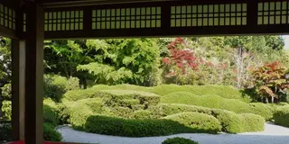 混雑なし！リフレッシュできる滋賀県甲賀市の”かくれ里”社寺巡り