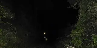 青梅ナイトハイク