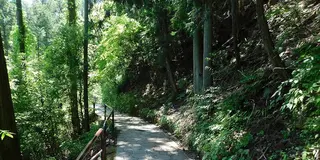 湖のひみつ