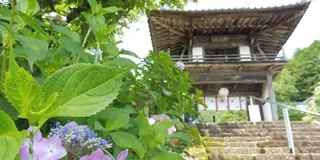 あじさいの山寺、三光寺と古田紹欽記念館