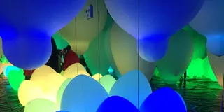 子供と楽しむデジタルアートミュージアム！