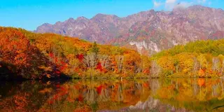 長野2泊3日の旅〜心安らぐ観光スポットと長野名物を堪能プラン〜