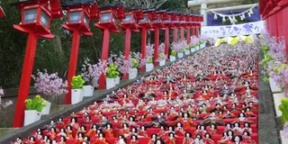【勝浦市】かつうらビッグひなまつり
